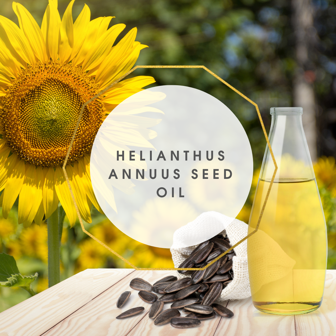 Helianthus Annuus Seed Oil