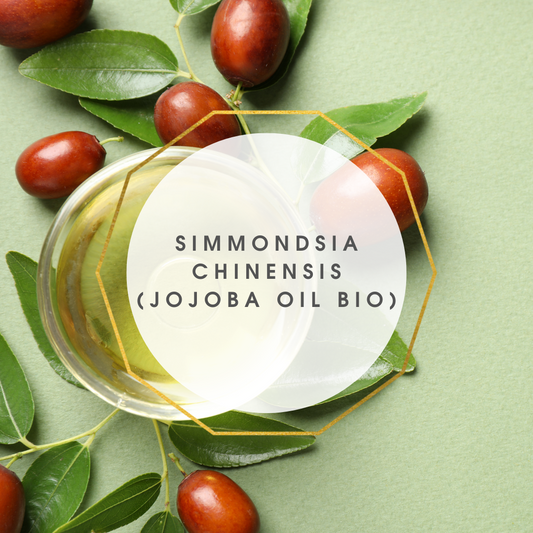 Simmondsia chinensis (Jojoba oil BIO)