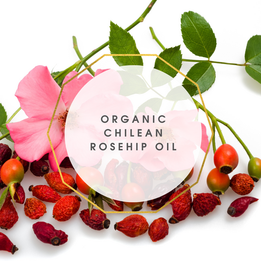 ORGANIC Chilean Rosehip Oil