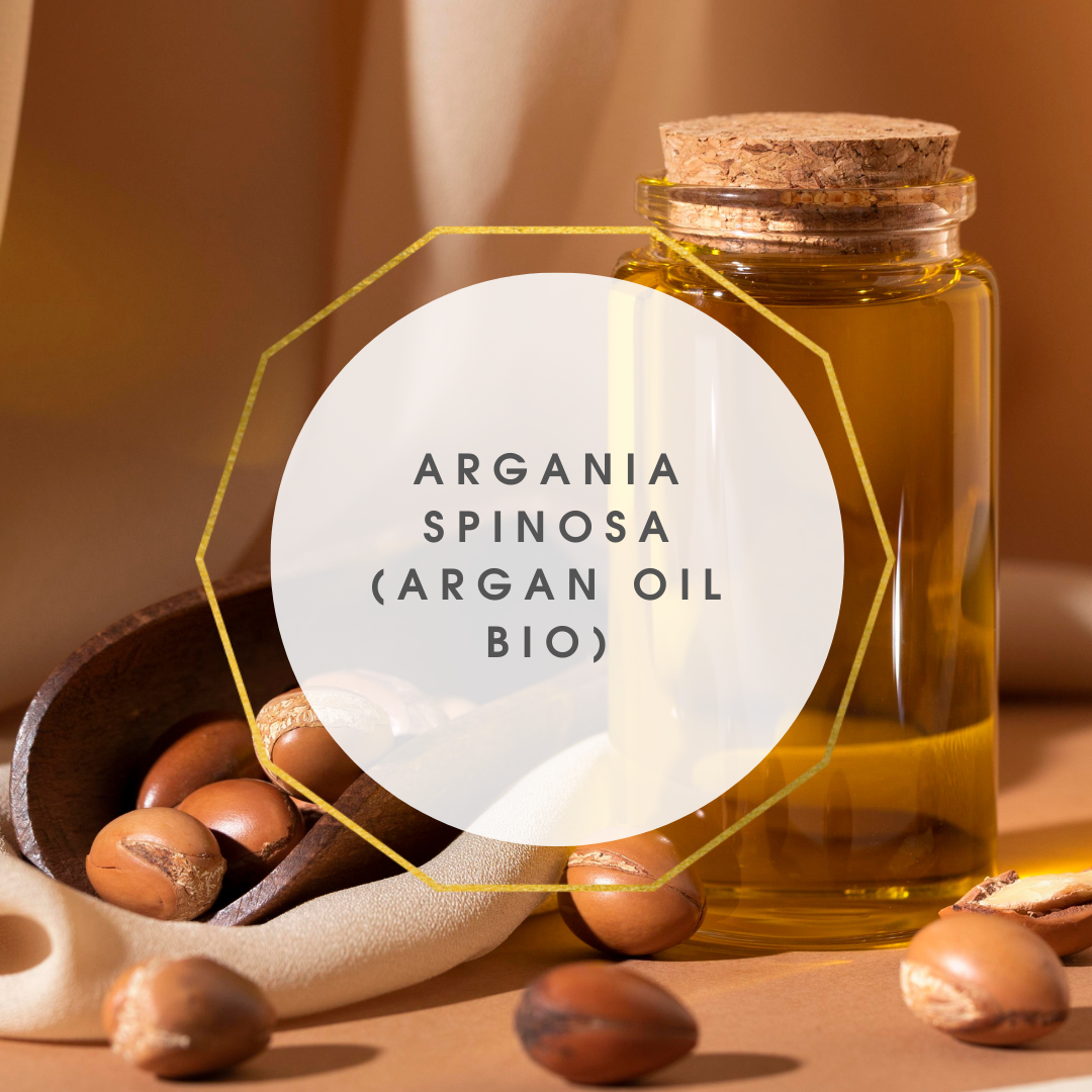 Argania spinosa (Argan OIL BIO)