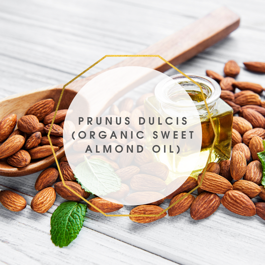 Prunus dulcis (ORGANIC Sweet Almond Oil)