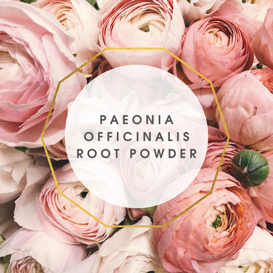 Paeonia Officinalis Root Powder